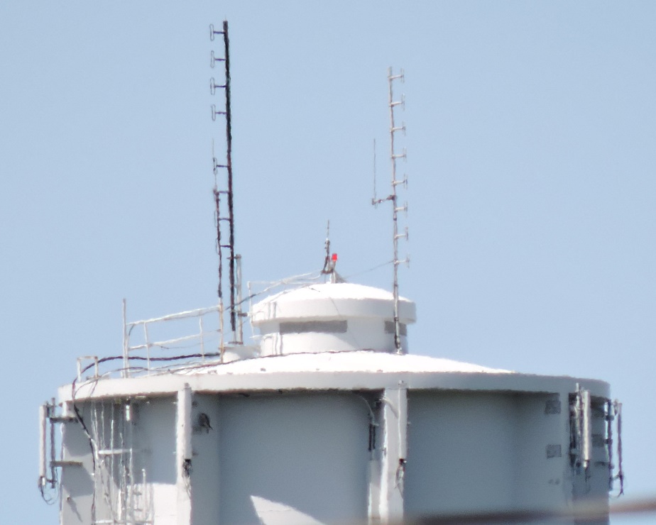 VE2RVM-Antenne